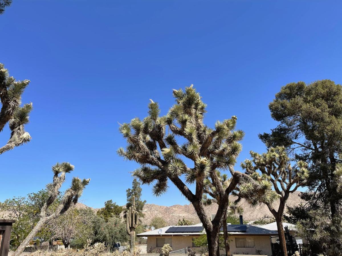 *New*King Beds*Bbq Grill*Fire-Pit*Hammock*Workplace Yucca Valley Luaran gambar